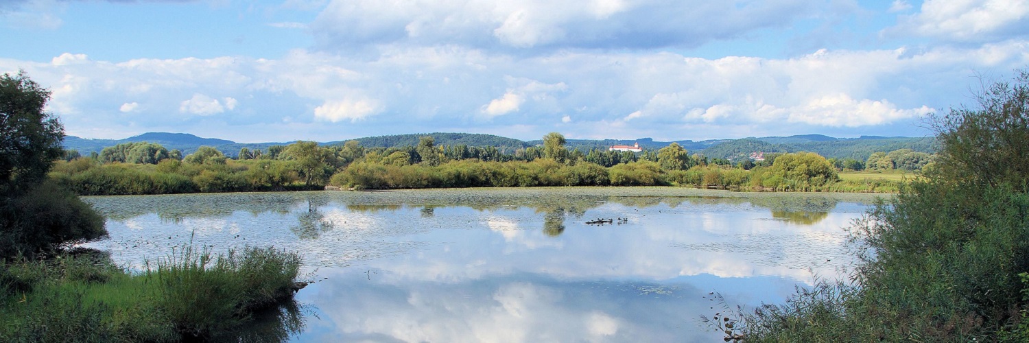 Anbieter und Angebote für den Regierungsbezirk Oberpfalz