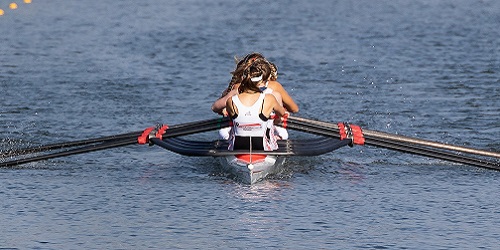 Vereine und Verbande Banner